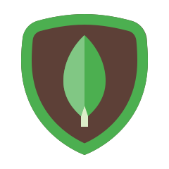 MongoDB technology